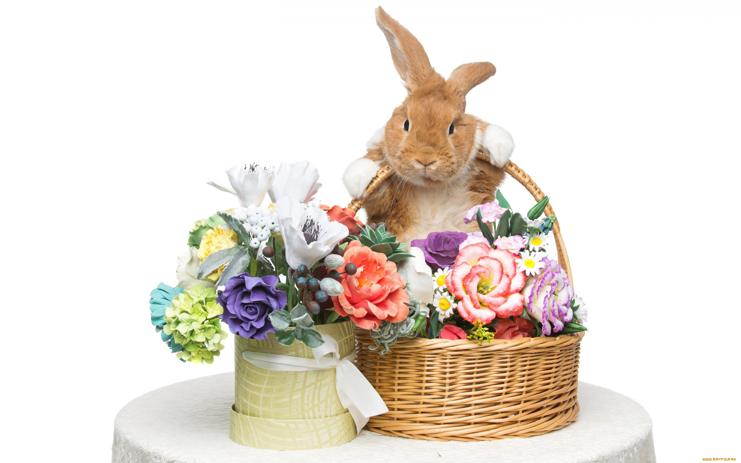 , ,  , , flowers, spring, eggs, , happy, rabbit